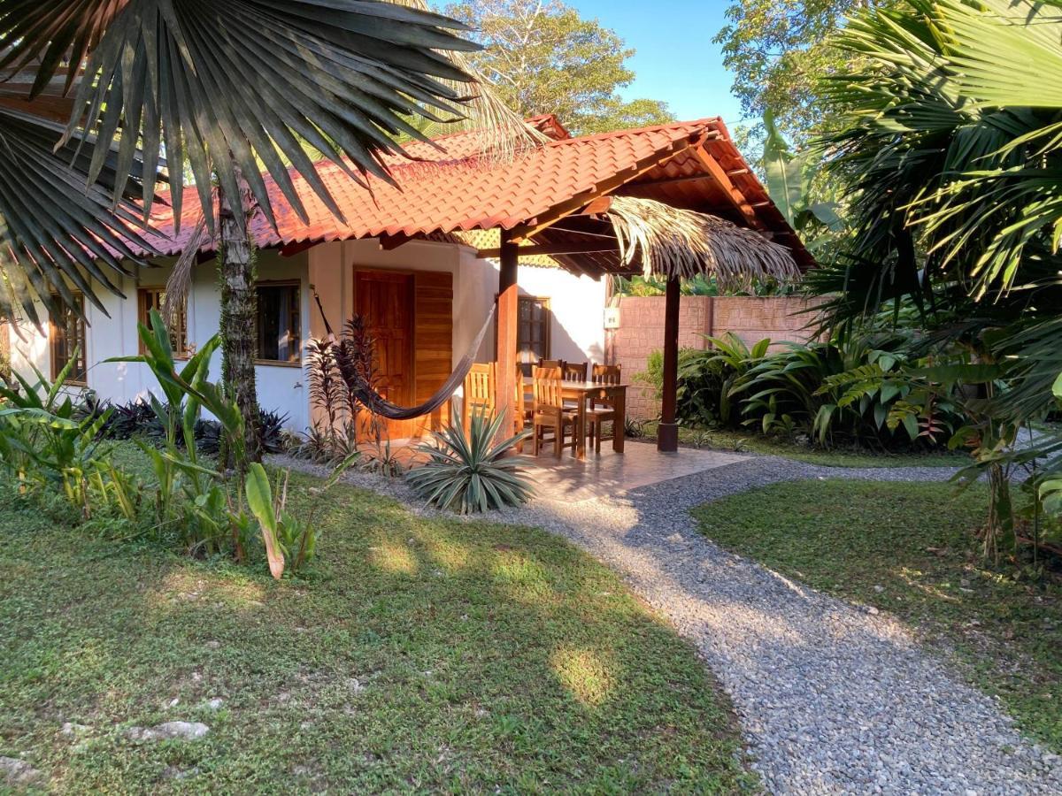 Pura Vida Vegana Hotel Cahuita Kültér fotó