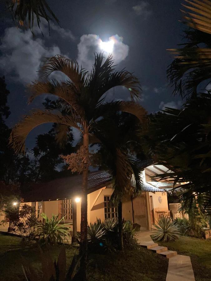 Pura Vida Vegana Hotel Cahuita Kültér fotó