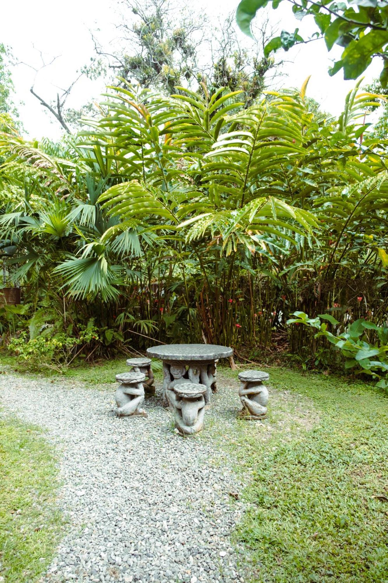 Pura Vida Vegana Hotel Cahuita Kültér fotó